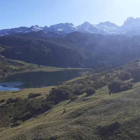 La Nueva Covadonguina Apartment *